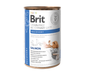 Brit GF Veterinary Diets Dog + Cat Can Recovery 400 g