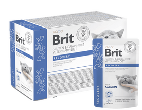 Brit Grain & Gluten-Free VD Cat Pouch fillets in Gravy Recovery 12x 85 g 