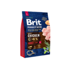 Brit Premium by Nature  ADULT L - 1/6