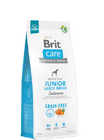 Brit Care Dog Grain-free Junior Large Breed - 1/4