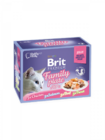 Brit Premium Cat Delicate Fillets in Jelly Family Plate (12 x 85 g) 1,02 kg - 1/3