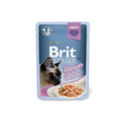 Brit Premium Cat Delicate Fillets in Gravy with Salmon for Sterilised 85 g - 1/3