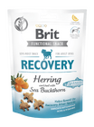 Brit Care Dog Functional Snack Recovery Herring 150 g - 1/4