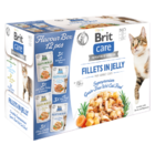Brit Care Cat Flavour box Fillet in Jelly, 4*3 pcs. (12*85 g) 1,02 kg - 1/2