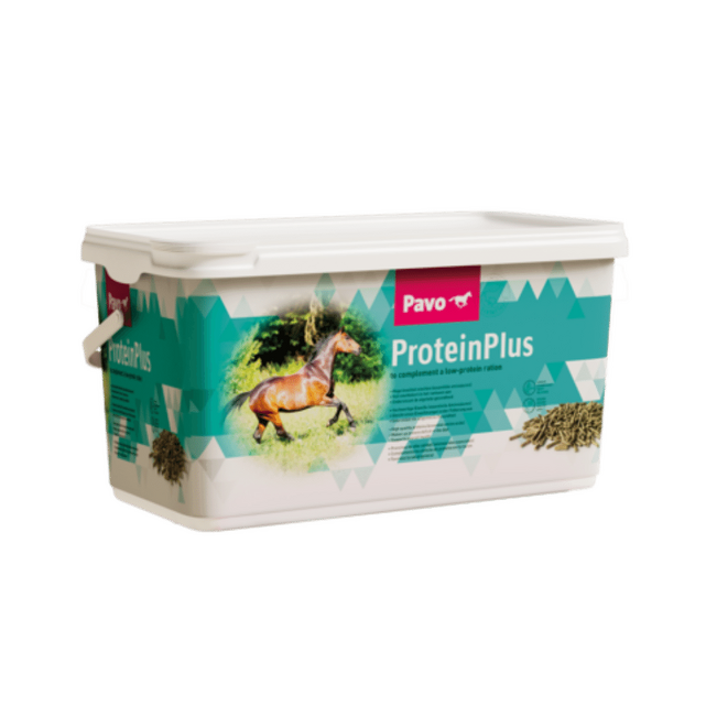 PAVO ProteinPlus 7 kg - 1