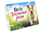 Brit Jarní BOX Dog  - 1/6