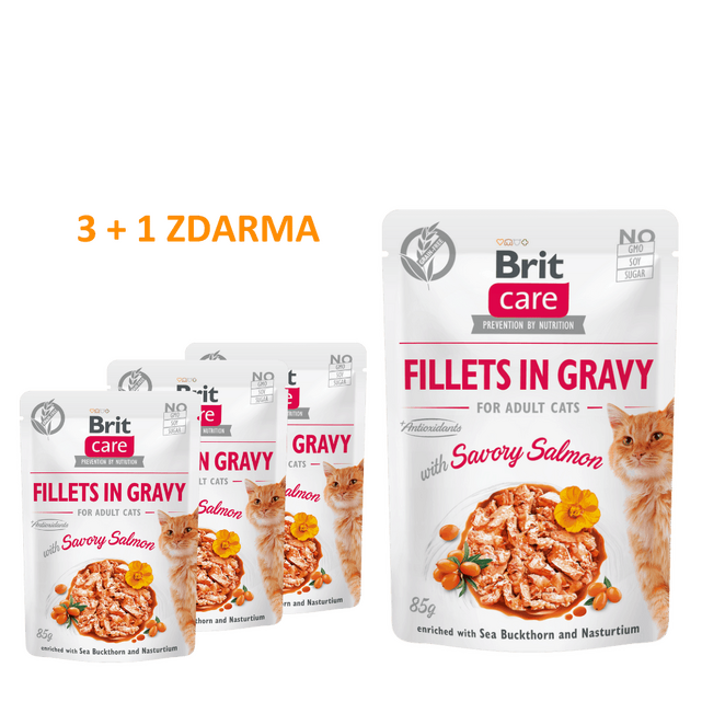 4 x Brit Care Cat Fillets in Gravy with Savory Salmon 85 g - 1