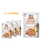 4 x BCC Kitten. Fillets in Gravy with Savory Salmon 85 g - 1/3
