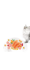 Brit Care Cat Grain-Free HAIRCARE HEALTHY AND SHINY COAT - 2/2