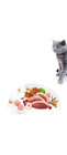 Brit Care Cat Grain-Free STERILIZED AND WEIGHT CONTROL - 2/2