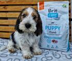 Brit Care Dog Hypoallergenic Puppy - 2/5