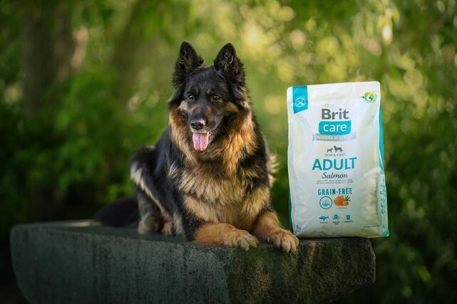 Brit Care Dog Grain-free Adult - 2