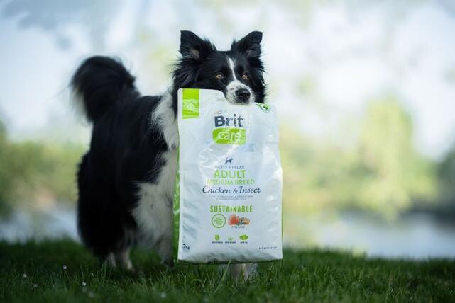 Brit Care Dog Sustainable Adult Medium Breed - 2