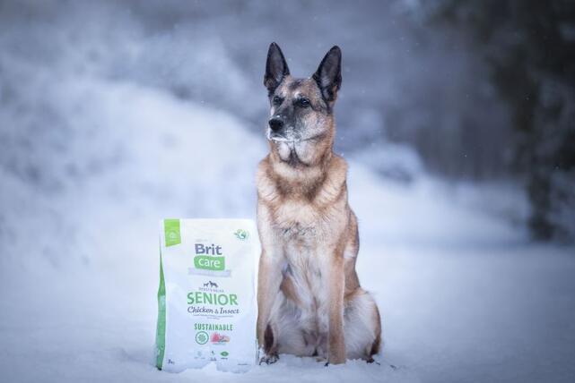 Brit Care Dog Sustainable Senior - 2
