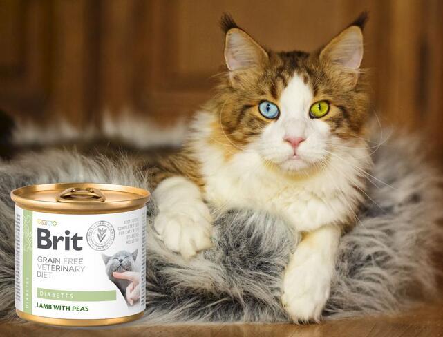 Brit GF Veterinary Diet Cat Cans Diabetes 200 g - 2
