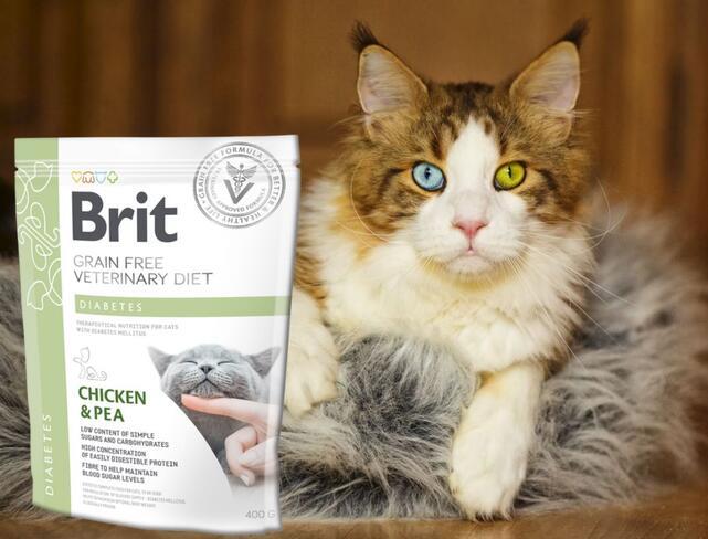 Brit GF Veterinary Diets Cat Diabetes - 2