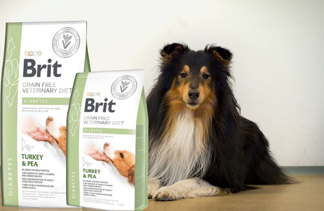Brit GF Veterinary Diets Dog Diabetes - 2