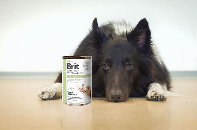 Brit GF Veterinary Diets Dog Can Diabetes 400 g - 2