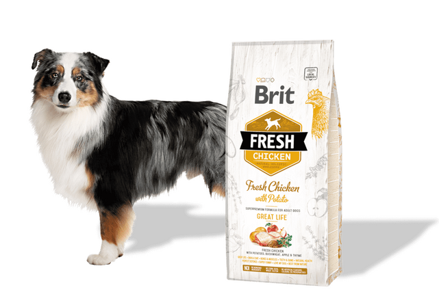Brit Fresh Chicken with Potato Adult Great Life - 2