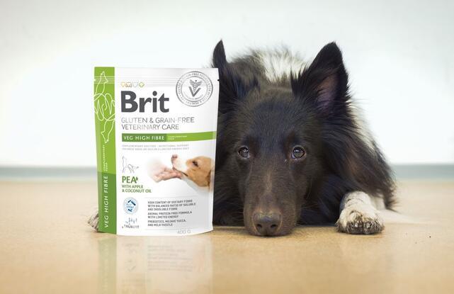 Brit GF Veterinary Diets Dog Veg High Fibre - 2