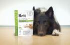 Brit GF Veterinary Diets Dog Veg High Fibre - 2/3