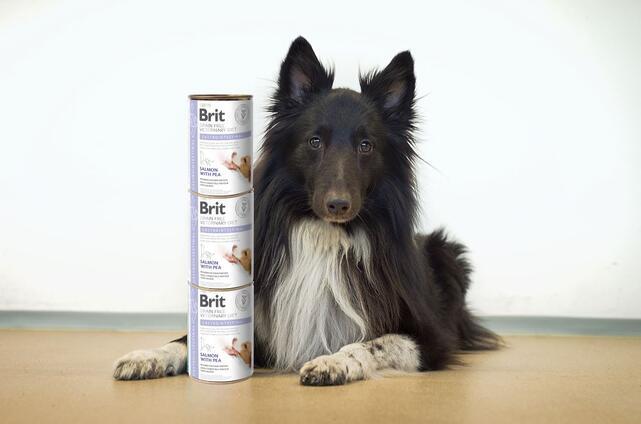 Brit GF Veterinary Diets Dog Can Gastrointestinal 400 g - 2