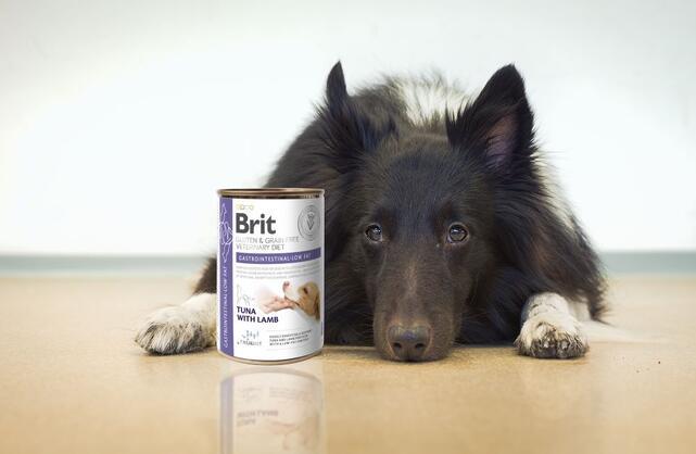 Brit Veterinary Diets Dog Gluten&Grain free Gastrointestinal-low fat 400 g - 2