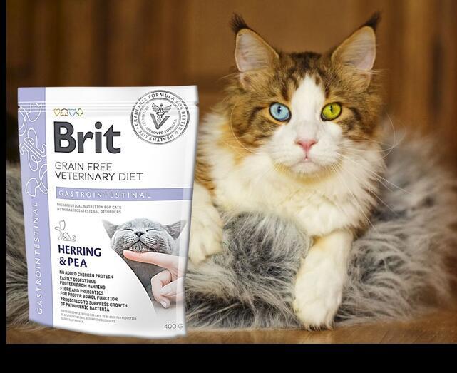 Brit GF Veterinary Diets Cat Gastrointestinal - 2