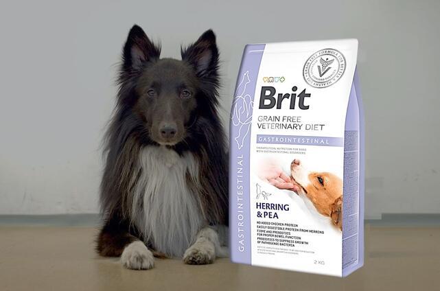 Brit GF Veterinary Diets Dog Gastrointestinal - 2