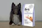 Brit GF Veterinary Diets Dog Gastrointestinal - 2/3