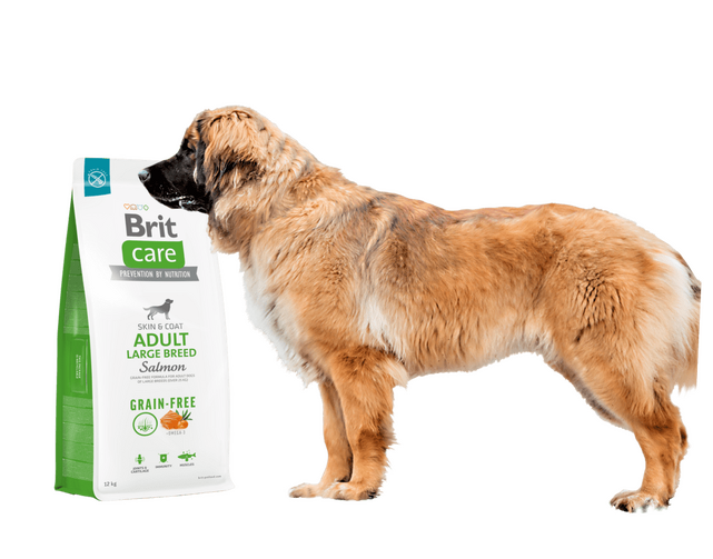 Brit Care Dog Grain-free Adult Large Breed - 2