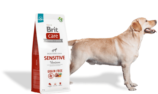 Brit Care Dog Grain-free Sensitive - 2