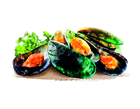 Canvit BARF Green-Lipped Mussel 180 g - 2