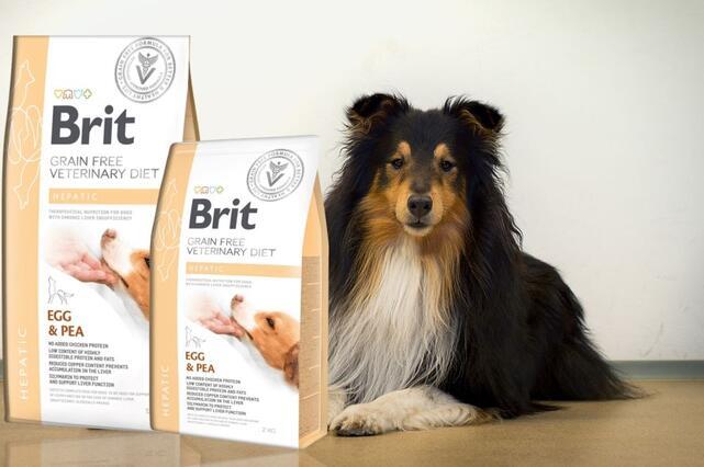 Brit GF Veterinary Diets Dog Hepatic - 2