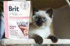 Brit GF Veterinary Diets Cat Hypoallergenic - 2/3