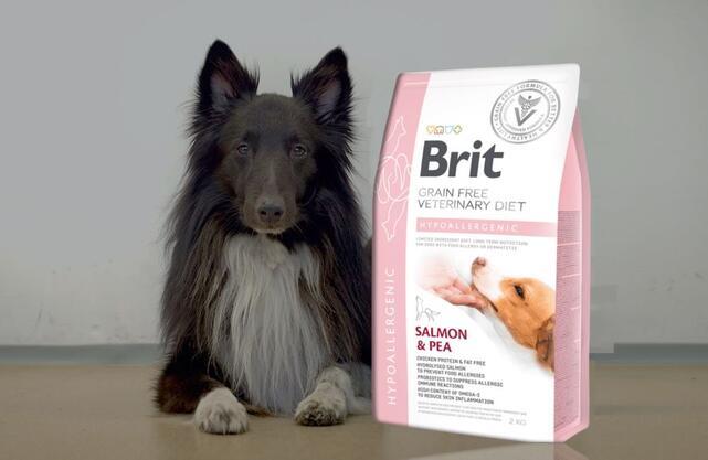 Brit GF Veterinary Diets Dog Hypoallergenic - 2