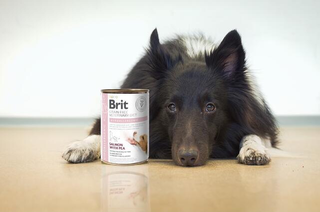 Brit GF Veterinary Diets Dog Can Hypoallergenic 400 g - 2