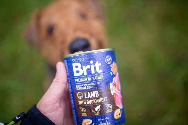 Brit Premium by Nature Lamb with Buckwheat - 2
