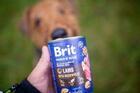 Brit Premium by Nature Lamb with Buckwheat - 2/4