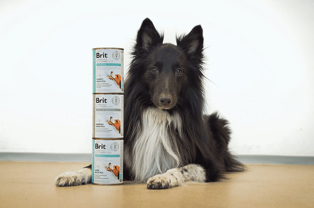 Brit GF Veterinary Diets Dog Can Joint & Mobility 400 g - 2