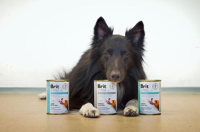6 x Brit GF Veterinary Diets Dog Can Obesity 400 g ZA VÝHODNOU CENU - 2