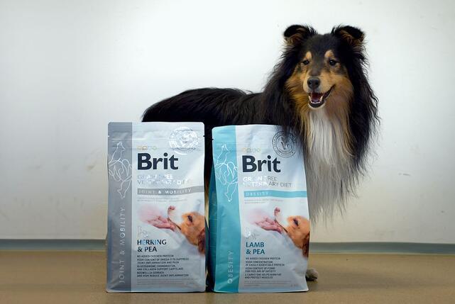 Brit GF Veterinary Diets Dog Joint & Mobility - 2