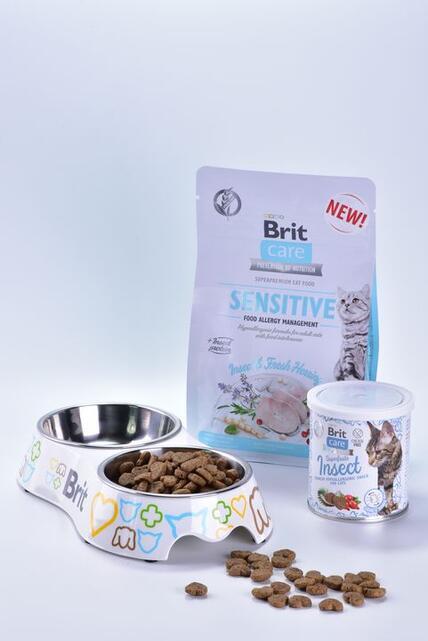 Brit Care Cat Snack Superfruits Insect 100 g - 2