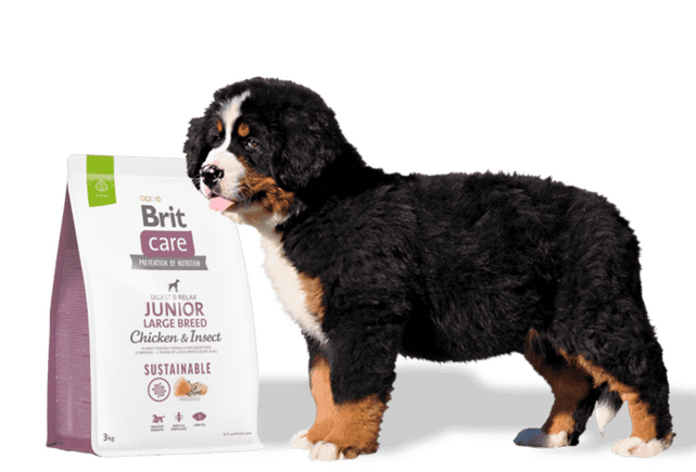 Brit Care Dog Sustainable Junior Large Breed - 2