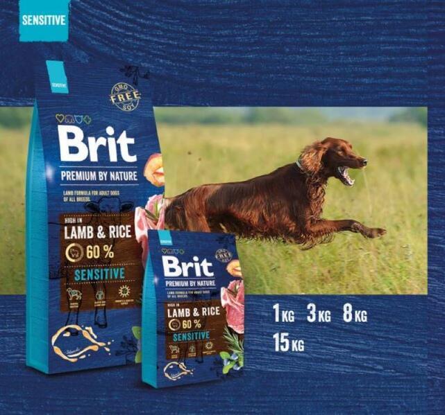 Brit Premium by Nature Sensitive Lamb - 2
