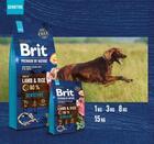 Brit Premium by Nature Sensitive Lamb - 2/3