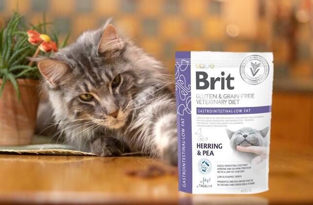 Brit GF Veterinary Diets Cat Gastrointestinal-Low fat - 2