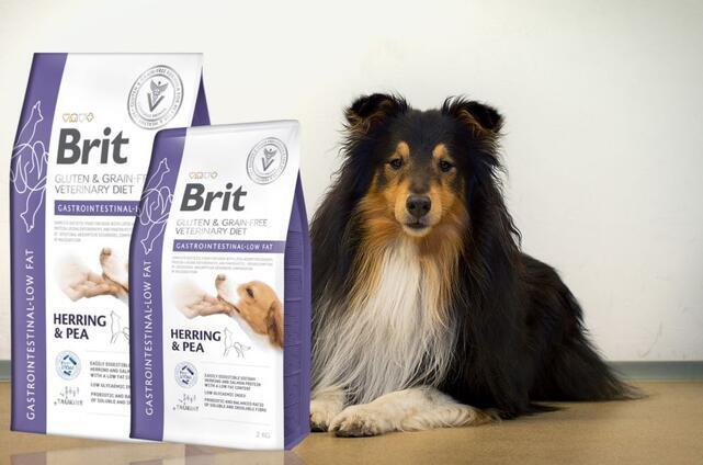 Brit GF Veterinary Diets Dog Gastrointestinal-Low fat - 2