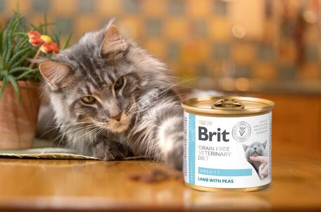 Brit GF Veterinary Diet Cat Cans Obesity 200 g - 2