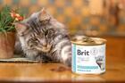 Brit GF Veterinary Diet Cat Cans Obesity 200 g - 2/3